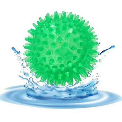 Pet Dog Squeaky Ball Toy