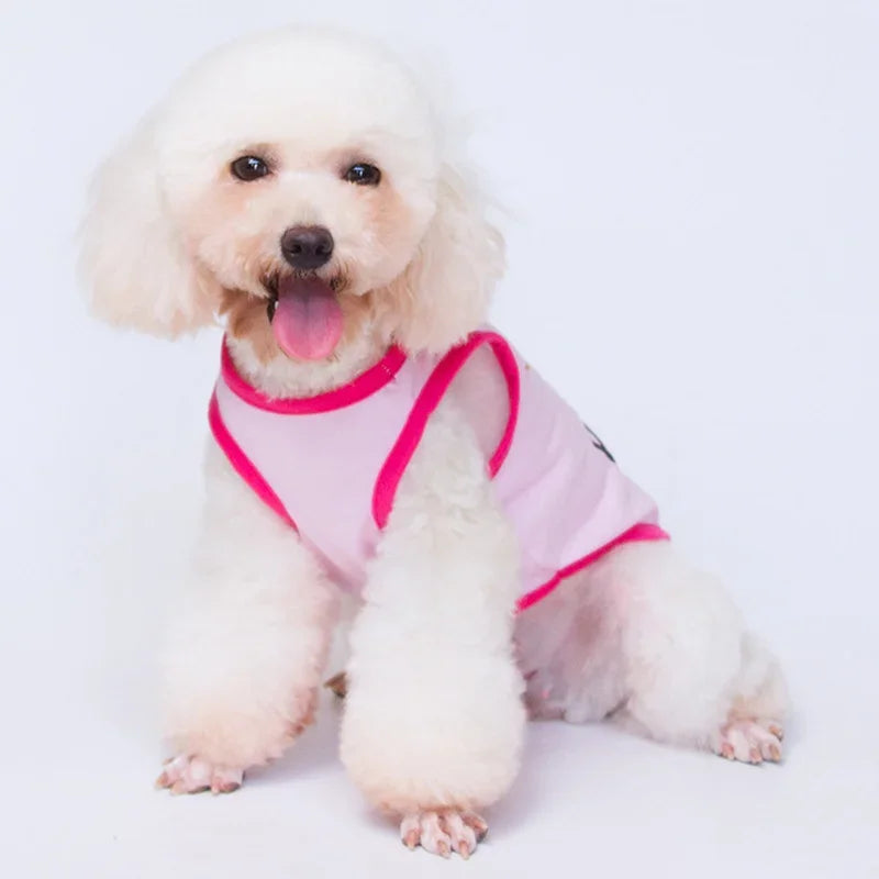 Summer Cotton Sphynx Cat T Shirt Vest