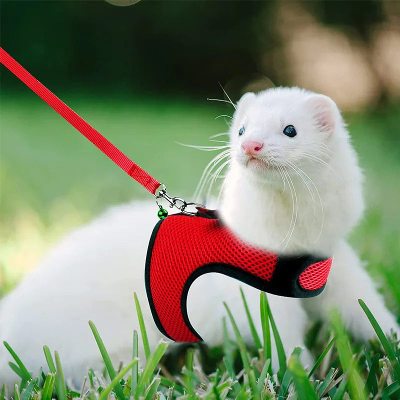 Small Mesh Harness/Leash