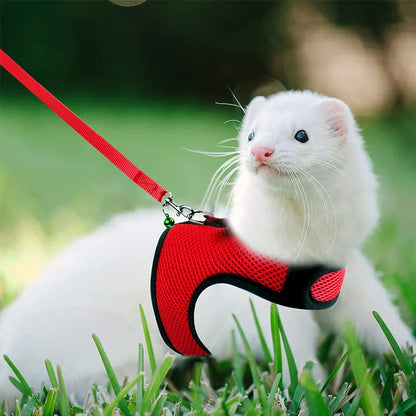 Small Mesh Harness/Leash