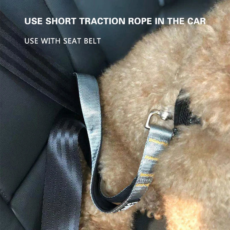 Durable Pet Leash