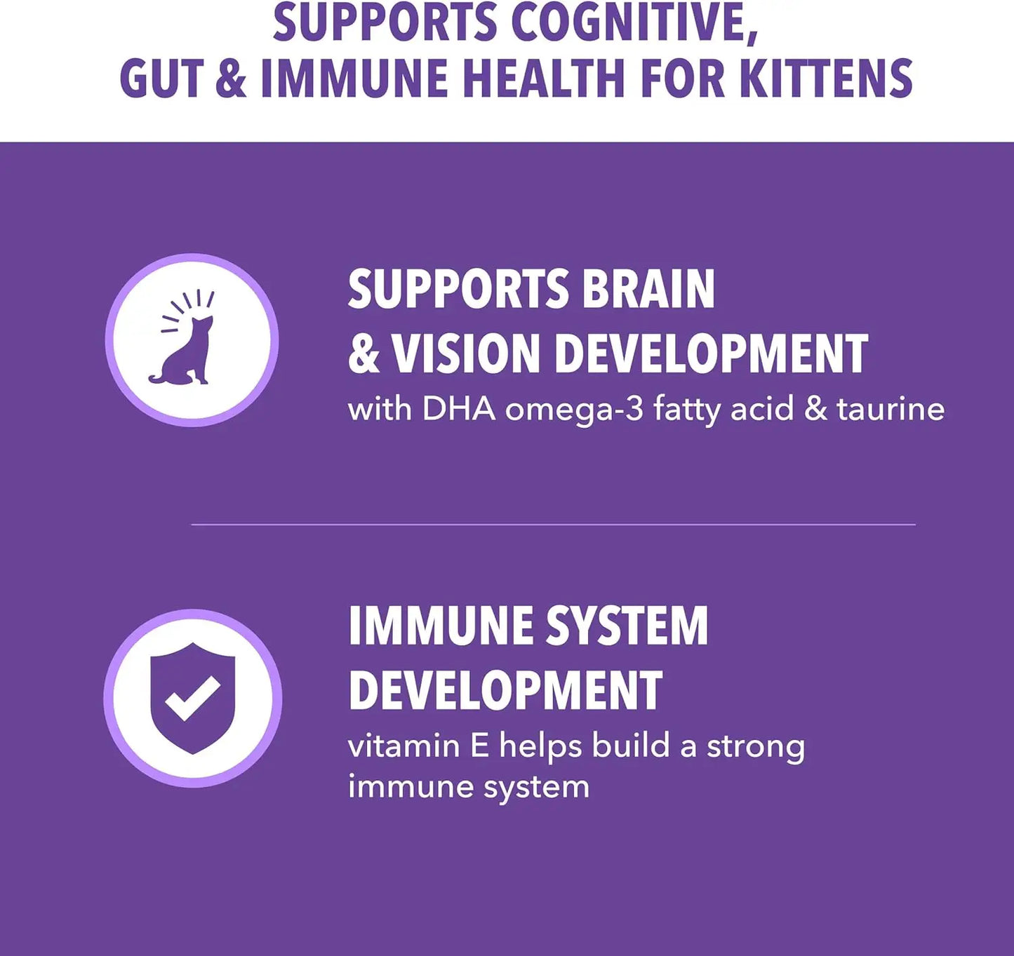 Healthy Kitten Dry Cat Food
