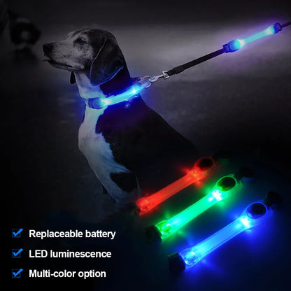 Waterproof Dog Anti-Lost Safety Glowing Collar