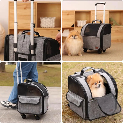 Small Pet Mobility Stroller