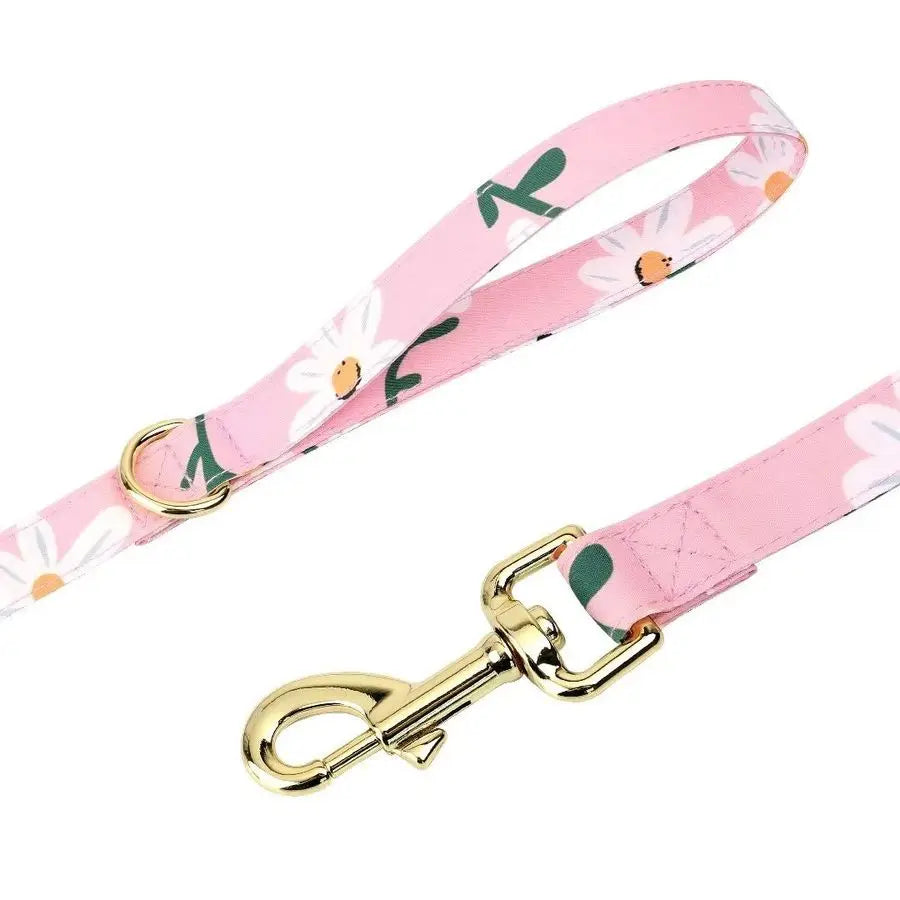 Harnesses and Leash Set