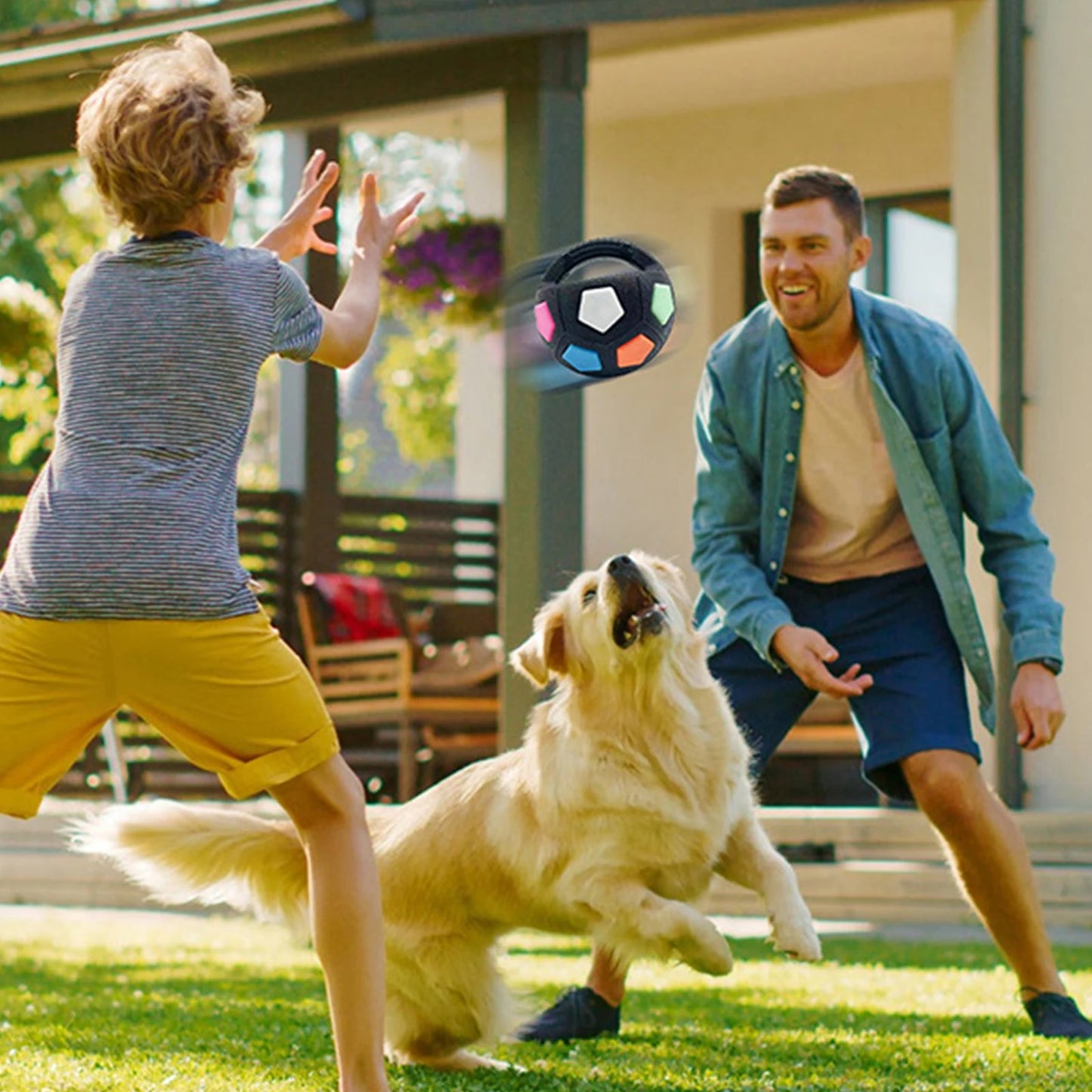Dog Calming Ball