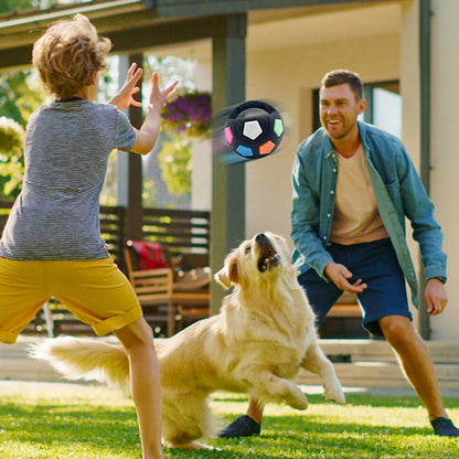 Dog Calming Ball