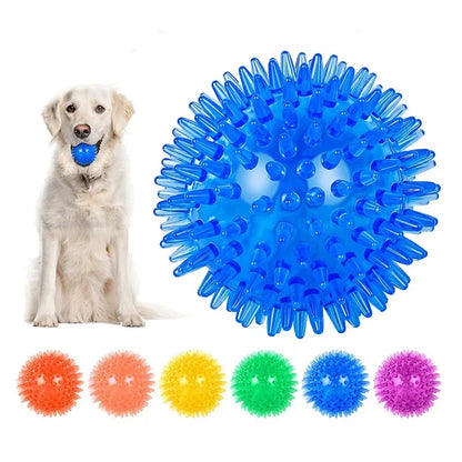 Pet Dog Squeaky Ball Toy