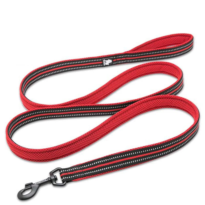 Dog Leash with Padded Handle