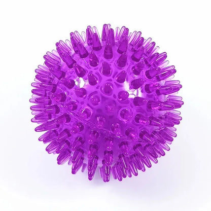 Pet Dog Squeaky Ball Toy