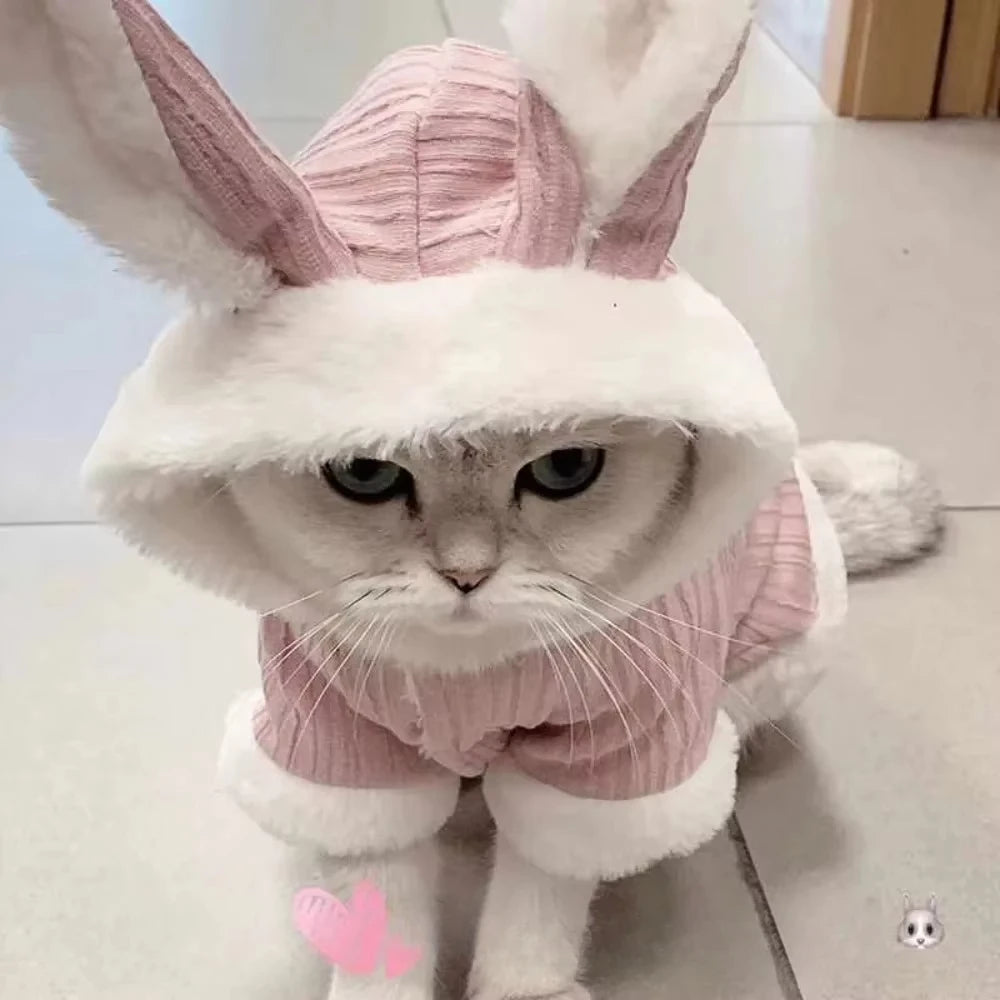 Pet Autumn and Winter Clothes