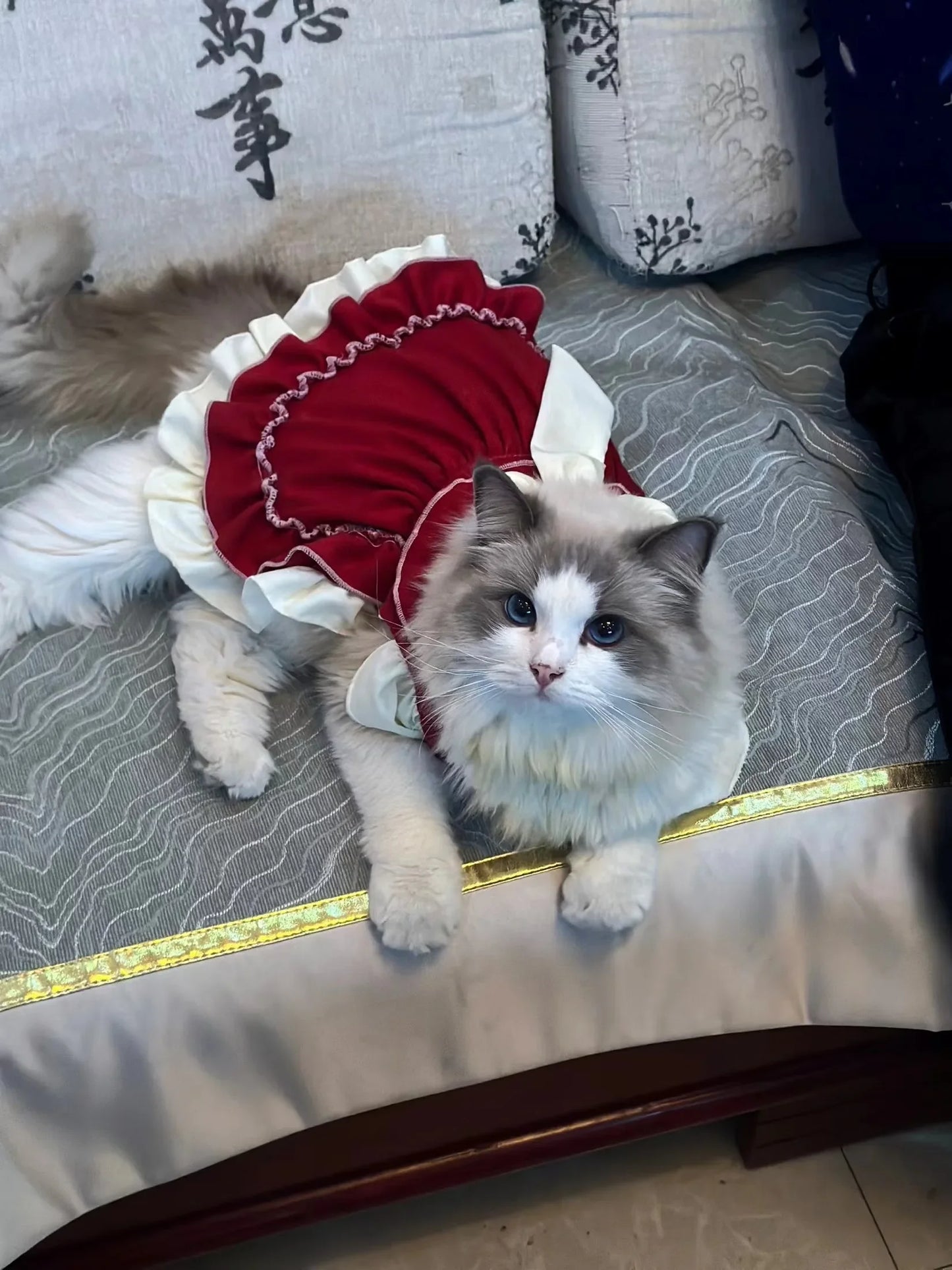 Bow Princess Skirt