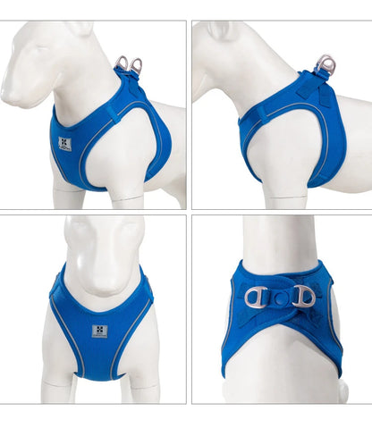 Dog Harness Leash Set