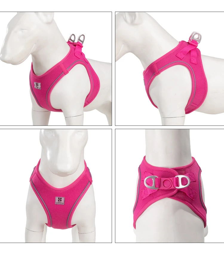 Dog Harness Leash Set