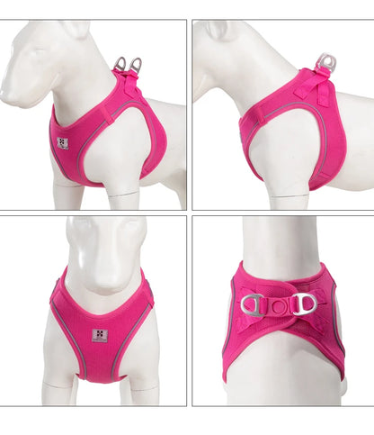 Dog Harness Leash Set