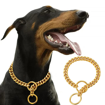 Stainless Chain Collar