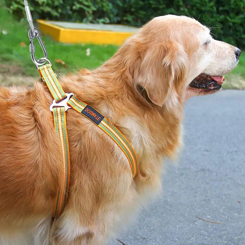 Double-headed Dog Tie Out Cable Leash