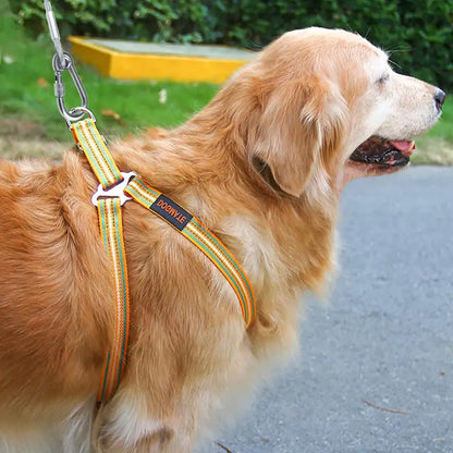 Double-headed Dog Tie Out Cable Leash