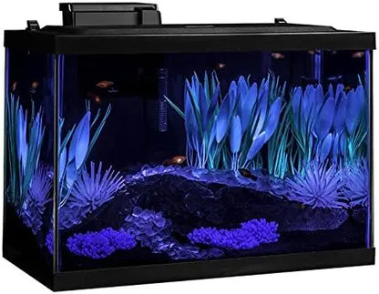 20 Gallon Aquarium Kit