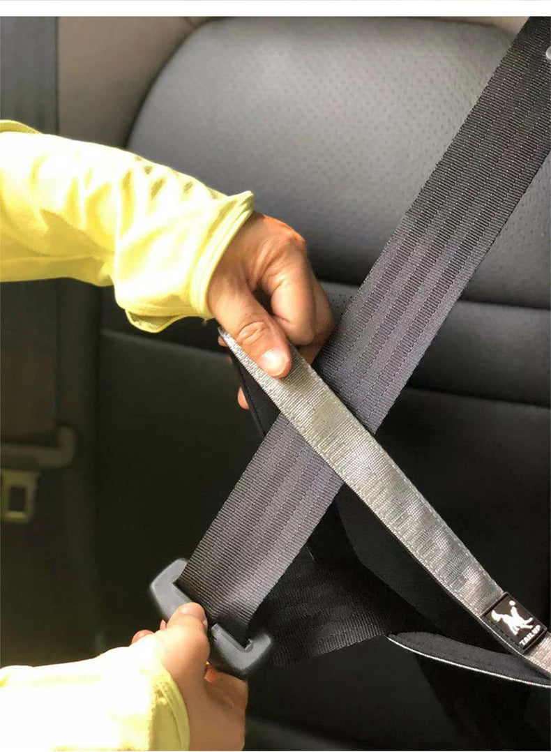 Durable Pet Leash