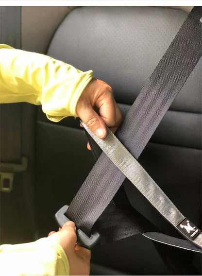 Durable Pet Leash