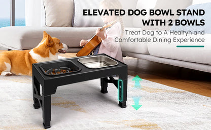 2-in-1 Elevated Slow Feeder Dog Bowls
