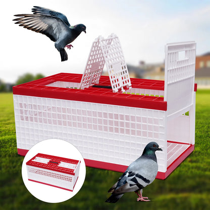 Foldable Pigeon Cage with Handle