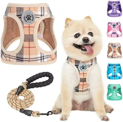 Safe Harness And Leash Set
