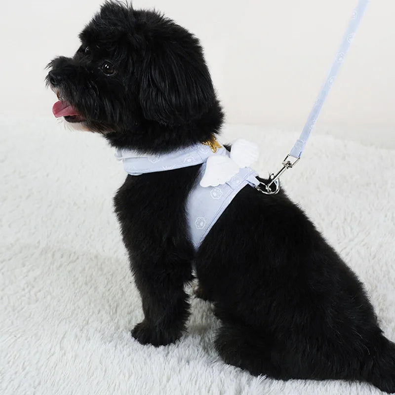 Angel Wing Vest Cat Dog Set