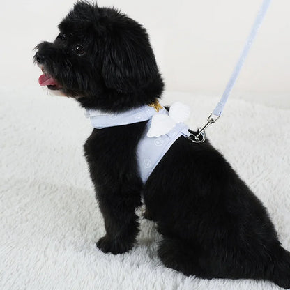 Angel Wing Vest Cat Dog Set