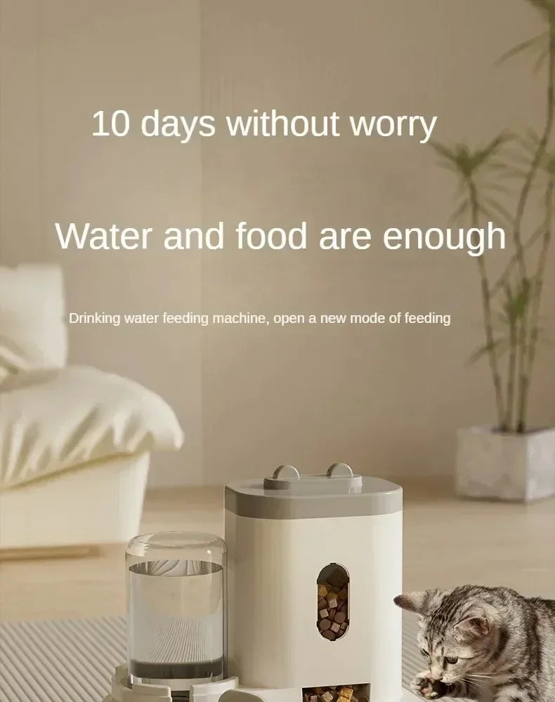 Automatic Feeder Pet Food Bowl With Water Fountain