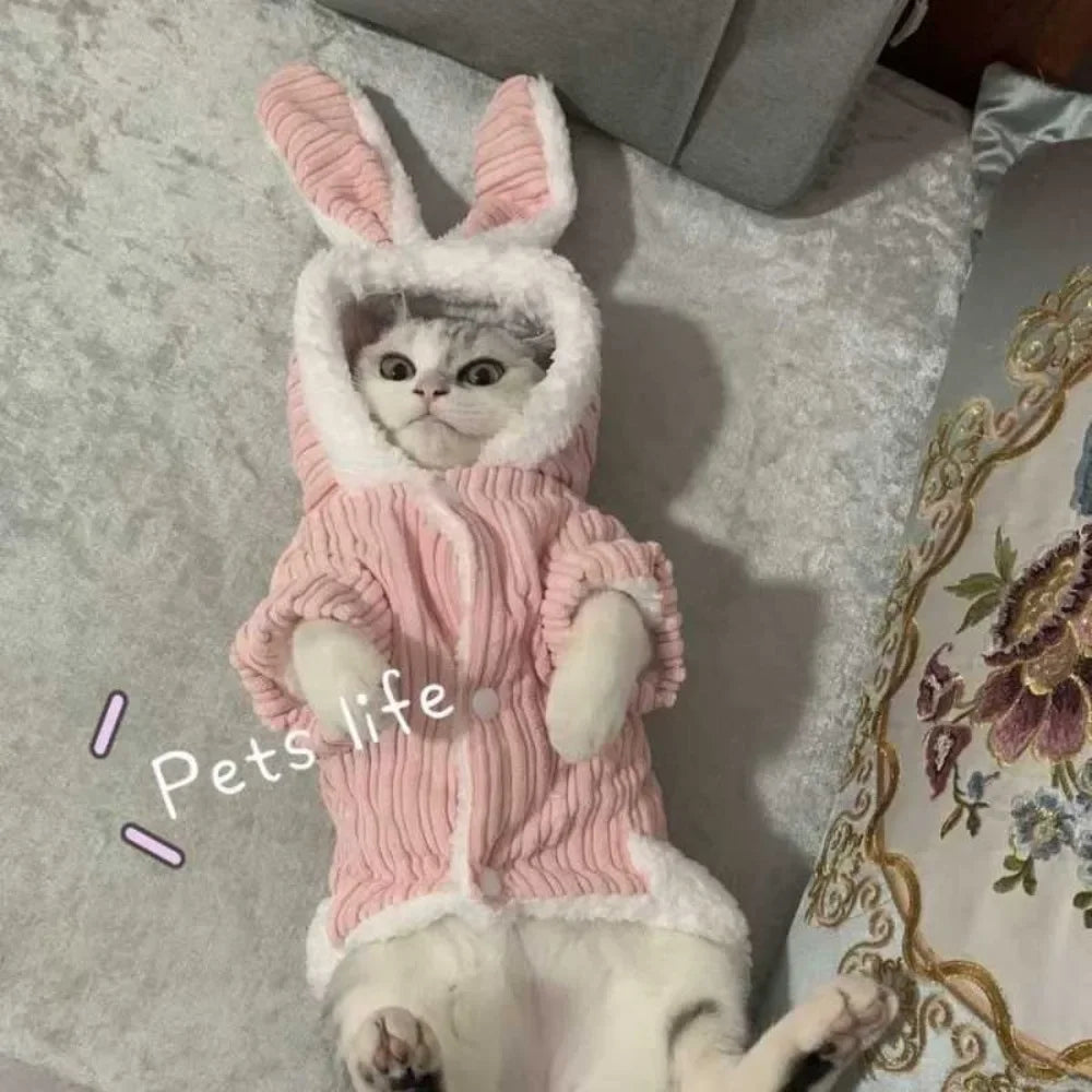 Pet Autumn and Winter Clothes