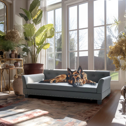 Durable Elevated Dog Sofa Bed