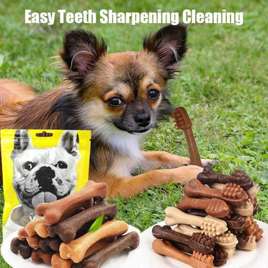 Dog Bruxism Stick