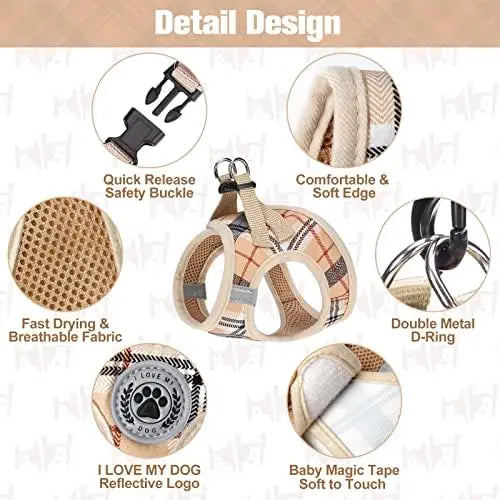 Safe Harness And Leash Set