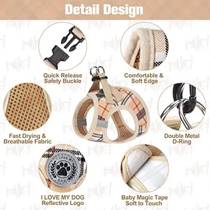 Safe Harness And Leash Set