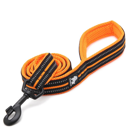 Dog Leash with Padded Handle