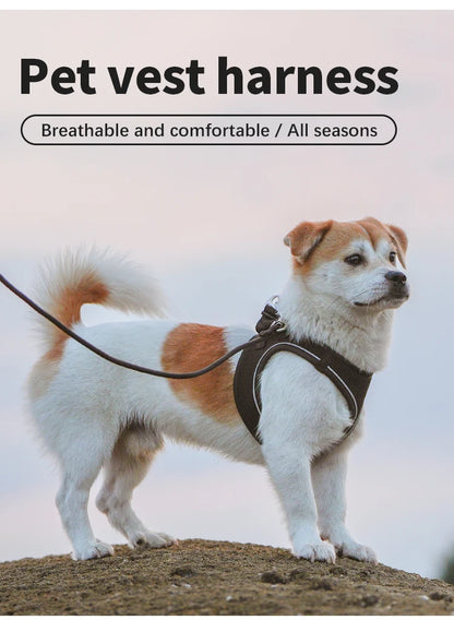 Dog Harness Leash Set