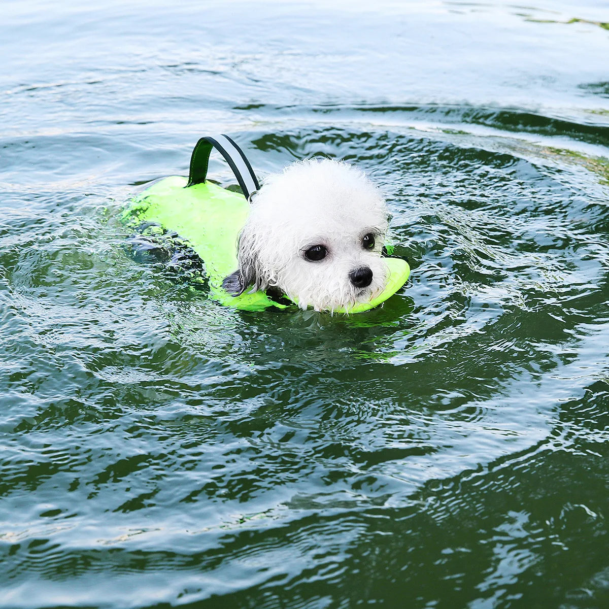 Dog Summer Swimming Vest