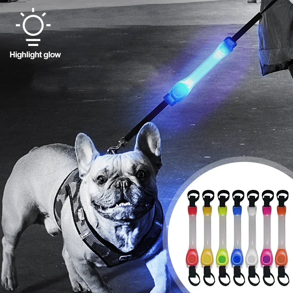 Waterproof Dog Anti-Lost Safety Glowing Collar