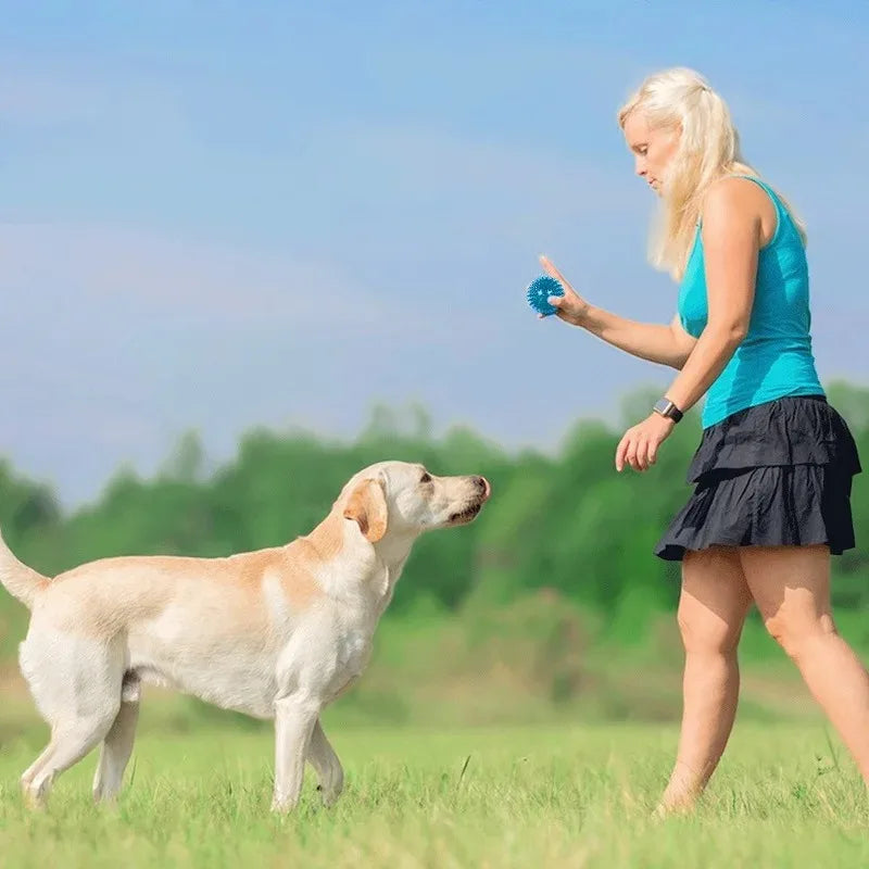 Pet Dog Squeaky Ball Toy