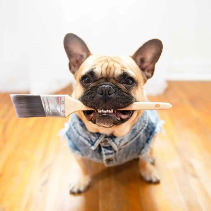 Pet Dog Jeans Jacket Denim Coats