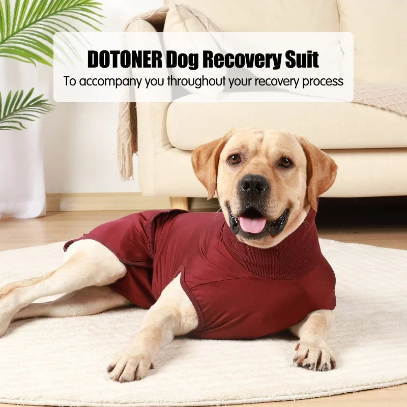Recovery Suit for Dogs Cats After Surgery