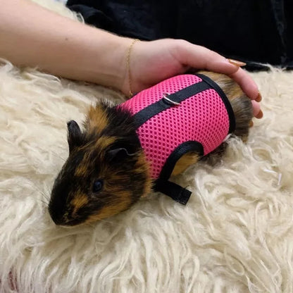 Small Mesh Harness/Leash