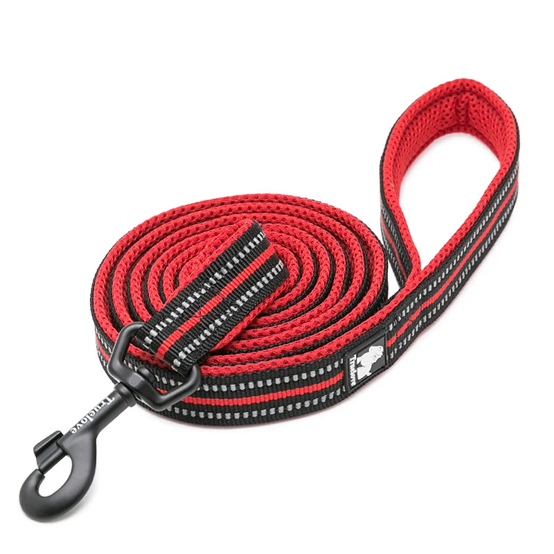 Dog Leash with Padded Handle