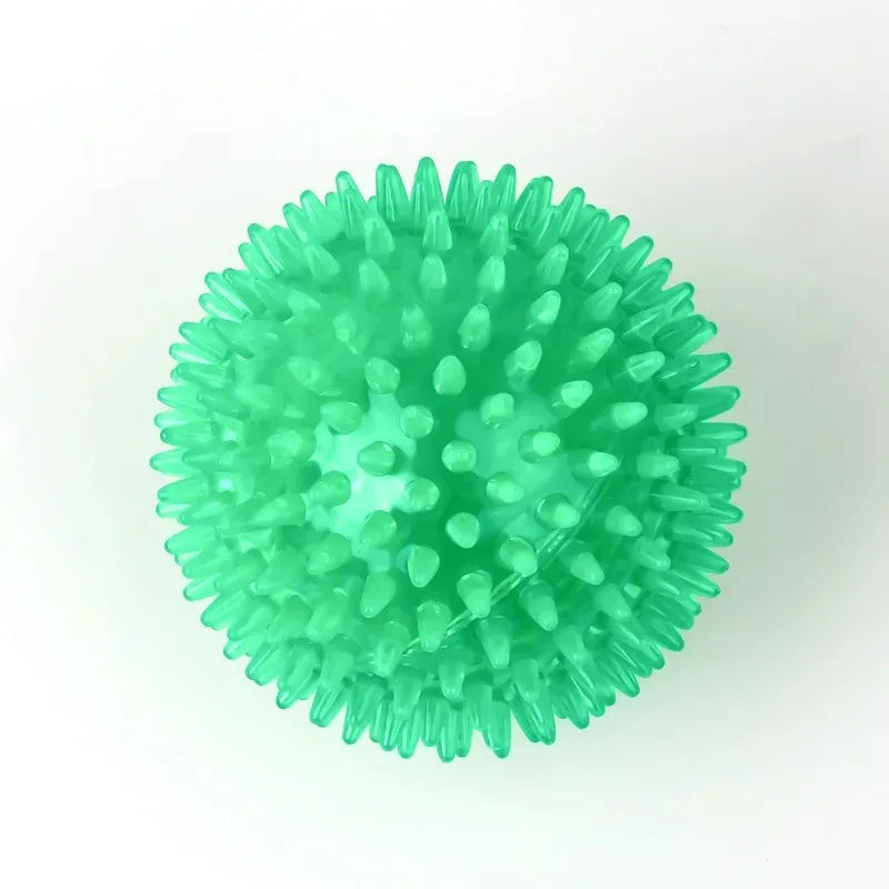 Pet Dog Squeaky Ball Toy