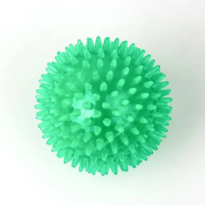 Pet Dog Squeaky Ball Toy