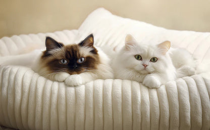 Fluffy  Cat Sofa Bed