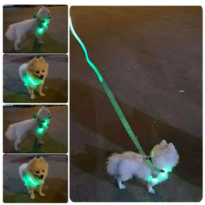 Harness USB Rechargeable