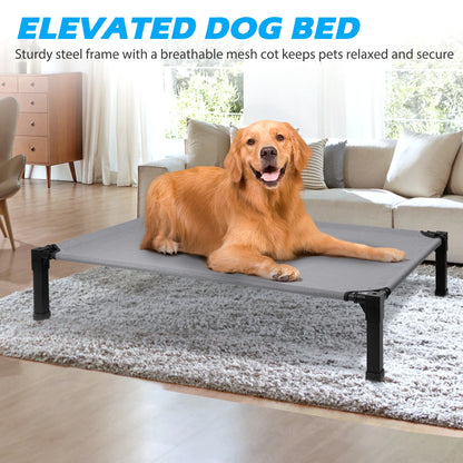 Portable Dog Cot Bed